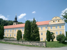 Fruškogorski Manastiri