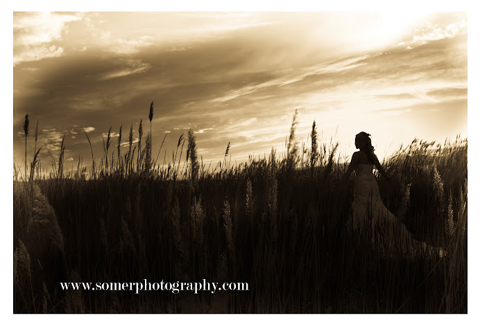 silhoutte bridals in the wheat grass