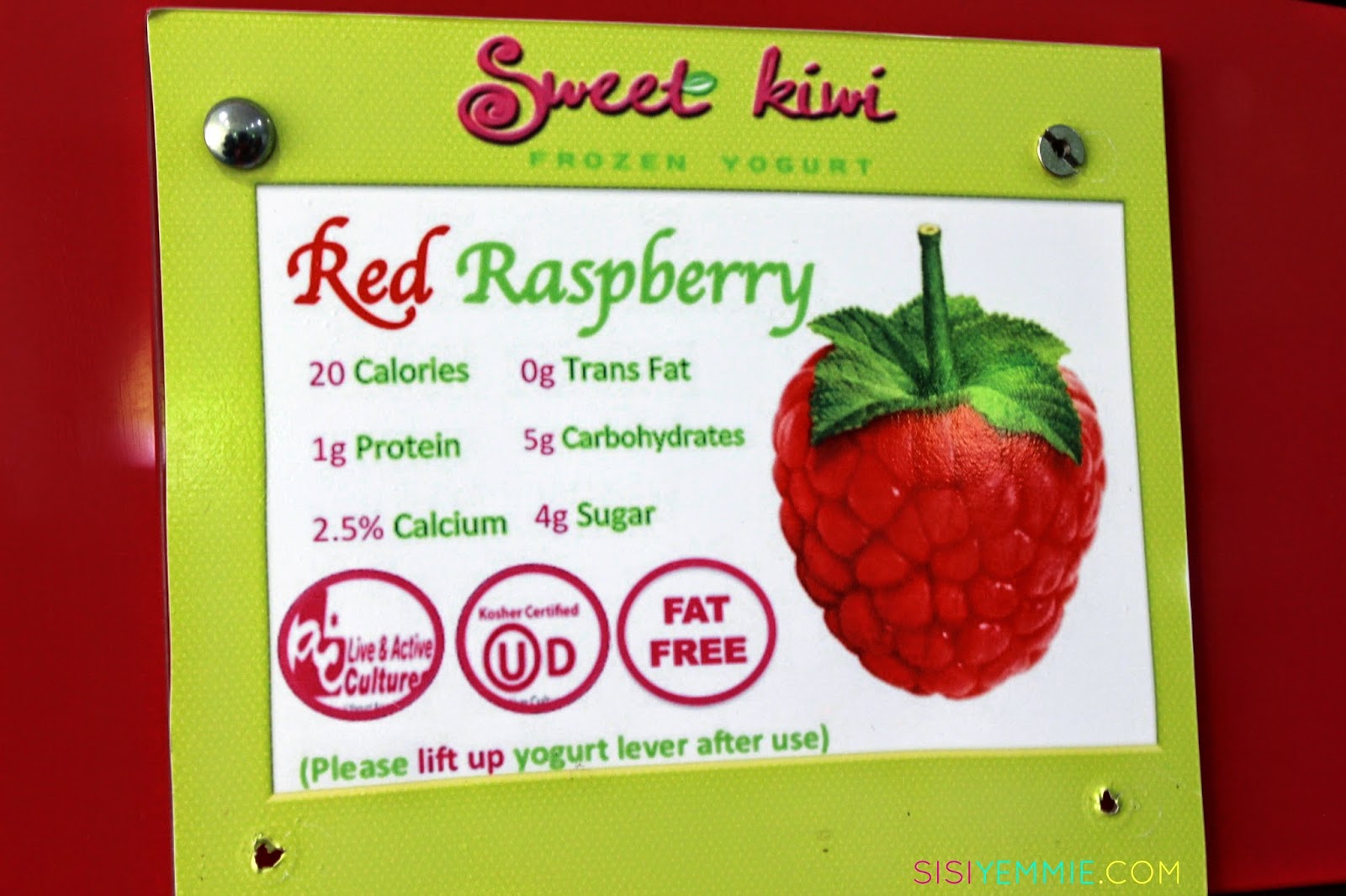 SWEET KIWI FROZEN YOGHURT REVIEW + GIVEAWAY !!! SISIYEMMIE Nigerian