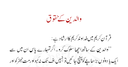 Urdu essay writing