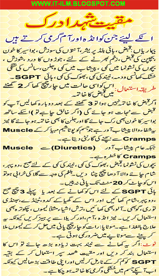 computer essay in urdu What is a computer essay on computer and its advantages and disadvantages category: essays, paragraphs and articles on october 8, 2015 by team work computer. computer essay in urdu What is a computer essay on computer and its advantages and disadvantages category: essays, paragraphs and articles on october 8, 2015 by team work computer.