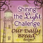 Shining the Light Challenge Award