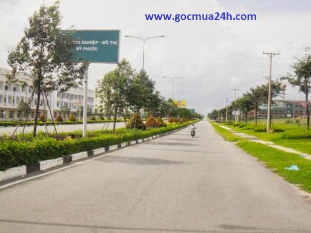 đất nền bình dương nhà đất bình dương