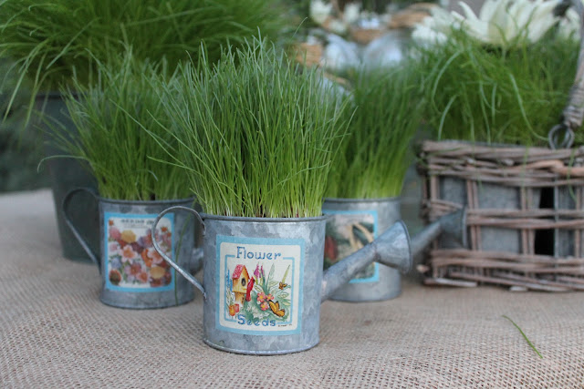 grow grass for party decor