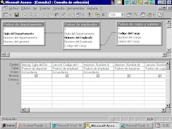 FORMULARIO ACCESS