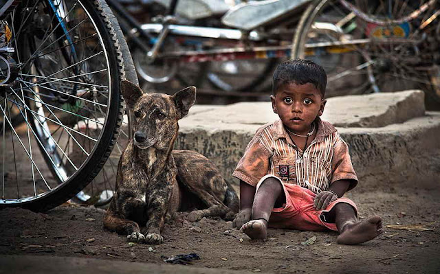 loyal-friend-ANIMALS+BEAUTIFUL+ANIMALS+BEAUTIFUL+CATS+BEAUTIFUL+DOGS+FRIENDS+LOYAL+PETS+PHOTOS+suresh+koyal+picsvan.blogspot.com+(11).jpg