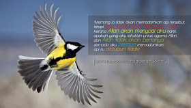 Kisah Nabi Ibrahim Antara Burung Dan Cicak Waktu Solat Dot Net