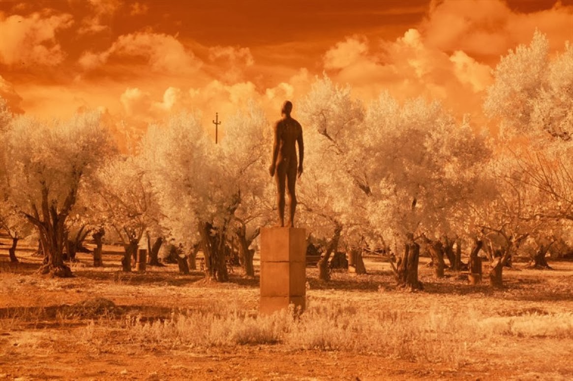 Lou Reed Romanticism 1