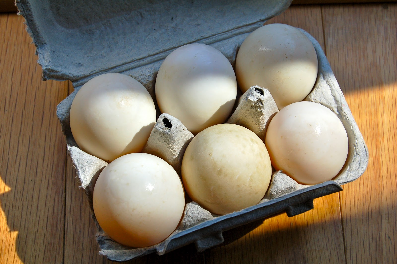 Kettler Cuisine: Asparagus Fritters with Fried Duck Eggs