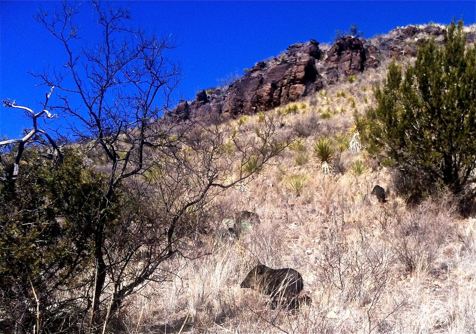 The Journey is the Reward. Davis Mountain State Park in Fort Davis, Texas.