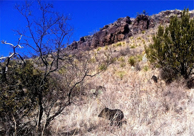 reward journey they referred travel group davis