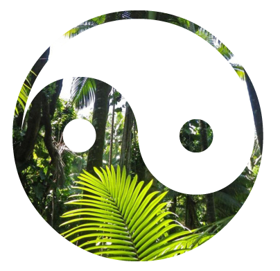 Ljudi se rastanu ali duse nikada ljudi se rastanu ali duse nikada