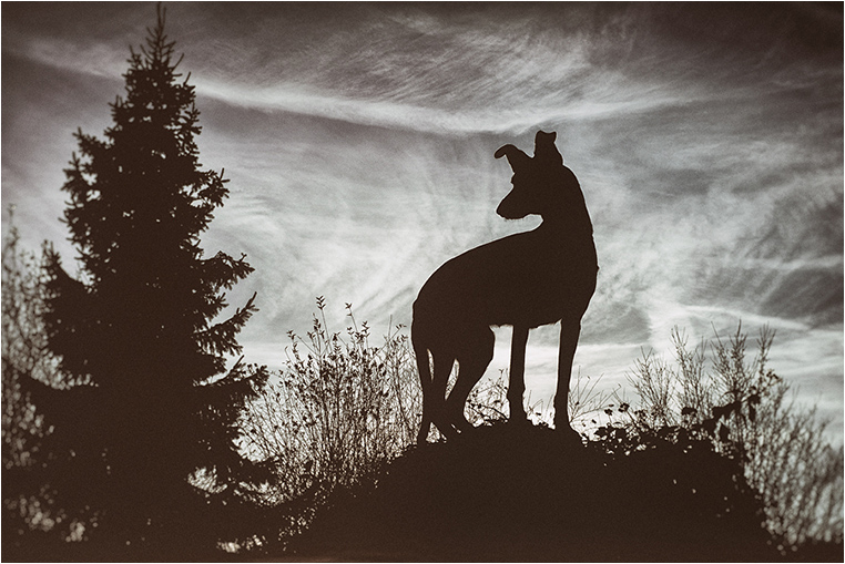 Emerging Photographers, Best Photo of the Day in Emphoka by Elke Vogelsang Emerging Photographers, Best Photo of the Day in Emphoka by Elke Vogelsang
