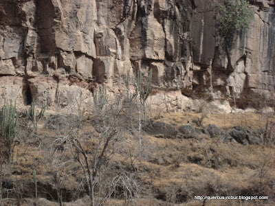 Cuevas inaccesibles por ahora en el cañón de Matatlán
