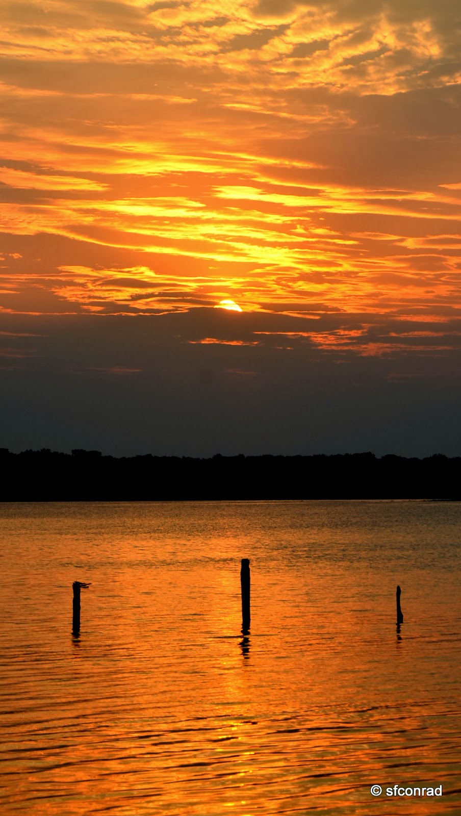 PUPPY PATHS RVing FullTime Catching Up!! + Beulah Lake, Aunt