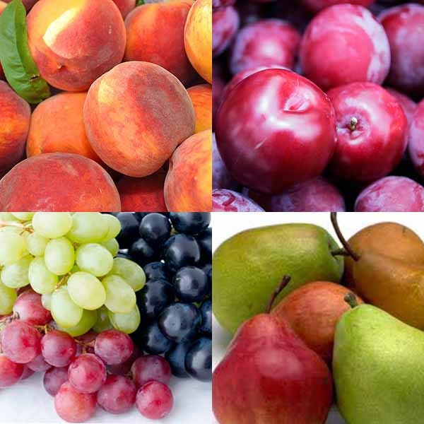 Ukraine Gift Delivery What fruit are in season in August in Ukraine?