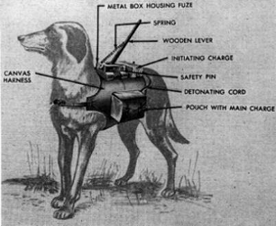 trained and used anti tank