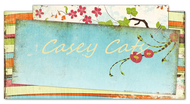 Casey Cats  world of wonder!