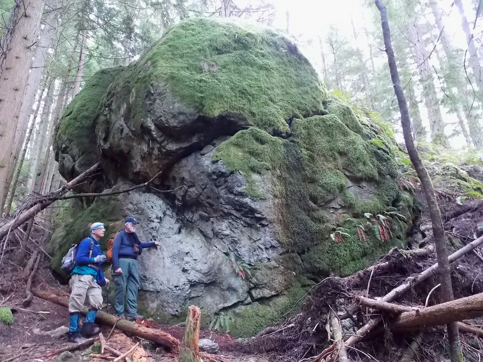 Fagin's Weather World Hike Washington KUOW Hike of the Week Oyster Dome