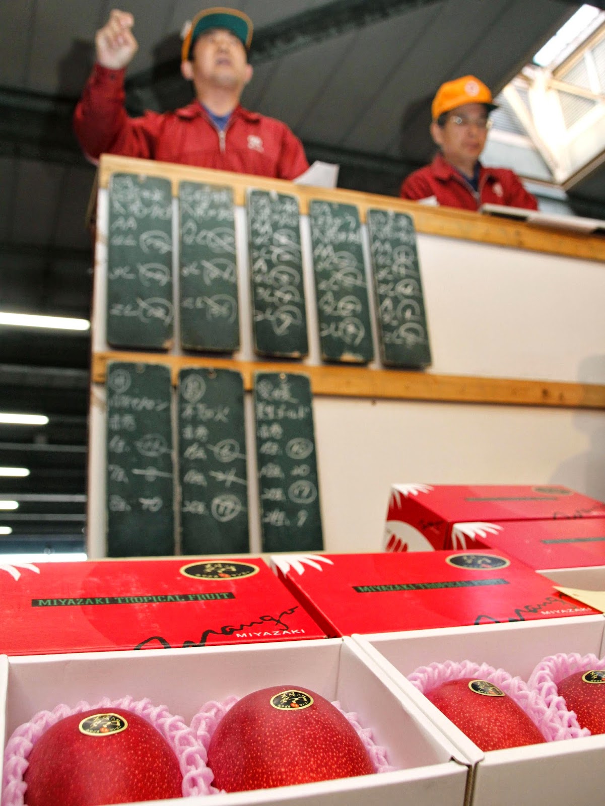 Miyazaki Mangoes (Egg of the Sun) fetch ¥300,000 (2932) Images