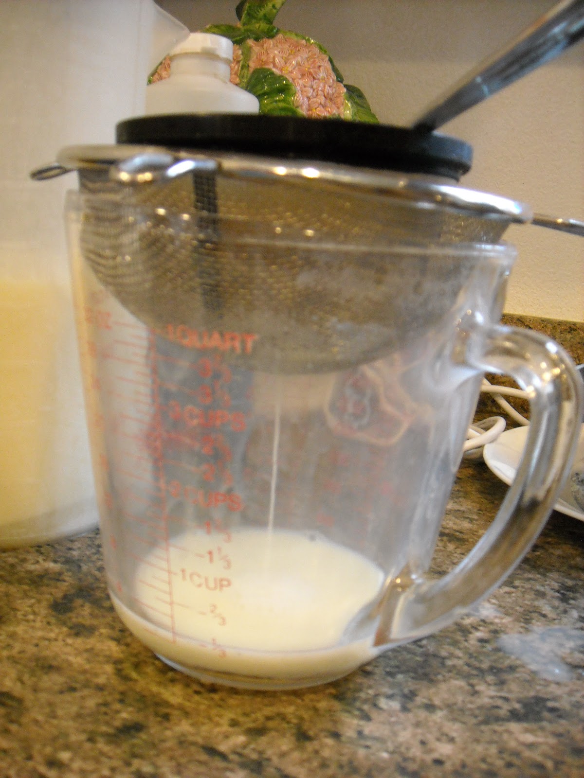 Make your own Smooth Soy Milk