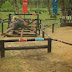 Survivor 2012 29 Nisan Pazar 19. Bölüm İzle