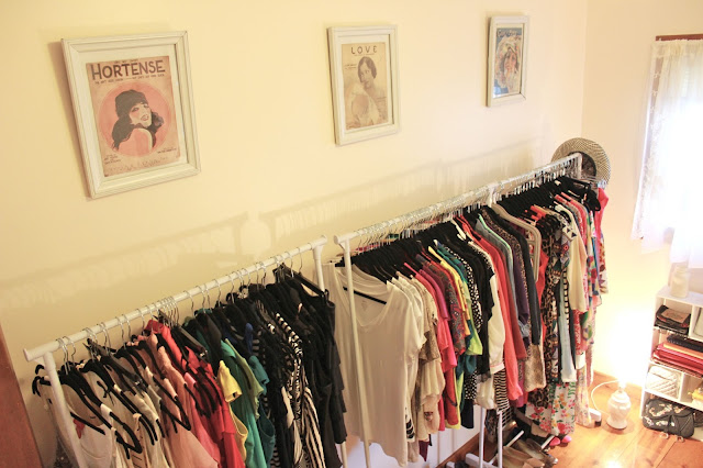 Turning A Spare Room Into A Walk-In Closet – Dina's Days