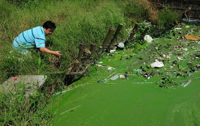 water pollution images - Water Pollution in Lake Taihu  China is Horrible, pollution picture