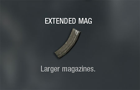 Extended Mag