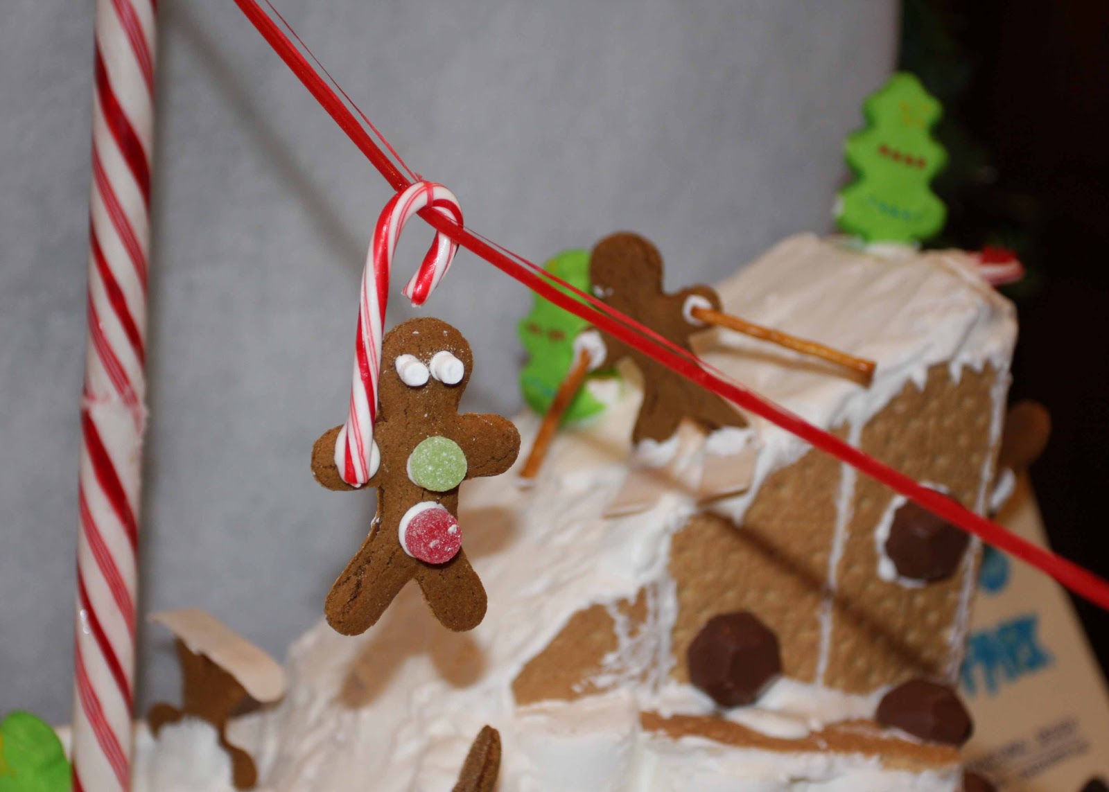 Linda's Lens Gingerbread Fun