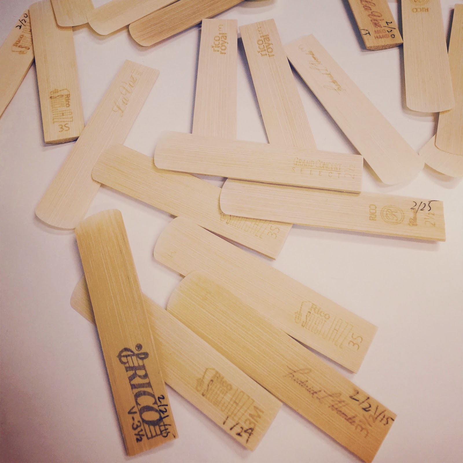 リードの選び方