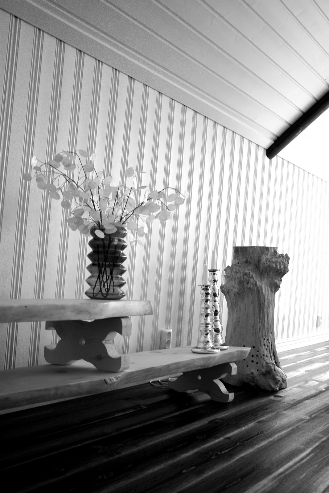 Livet på säludden: februari 2011