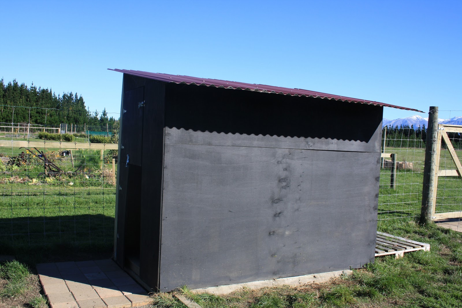 Feral Greyhound Kennels Kennel Facilities