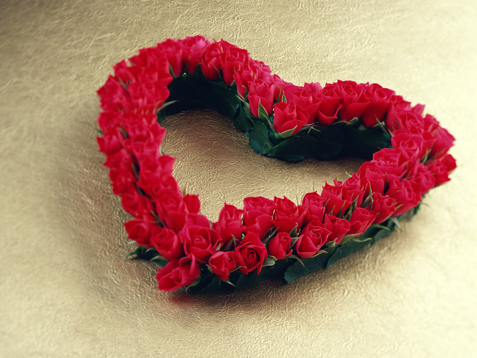 http://2.bp.blogspot.com/-Mj2cazg9MhY/T-6tnNNEn3I/AAAAAAAAB4A/fp-e8YCVTX4/s1600/free-love-heart-shaped-flower-Love+Pictures.jpg