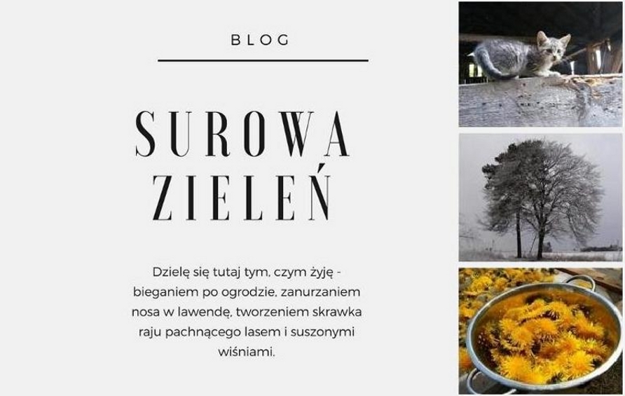 surowa zieleń