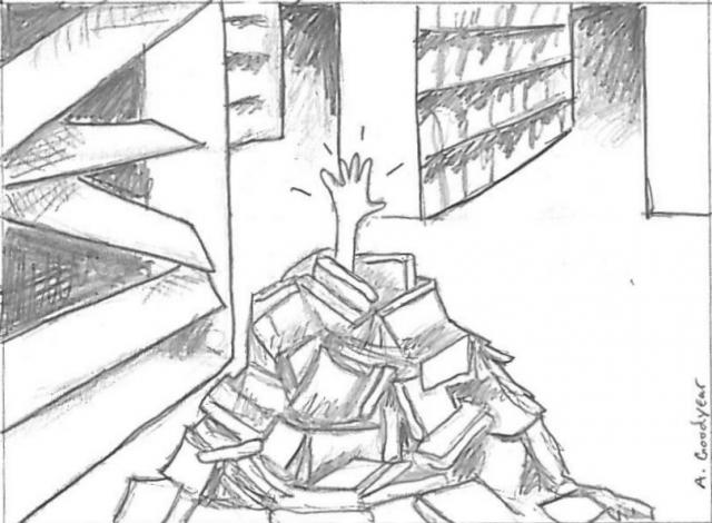 RÃ©sultat de recherche d'images pour "avalanche livres"