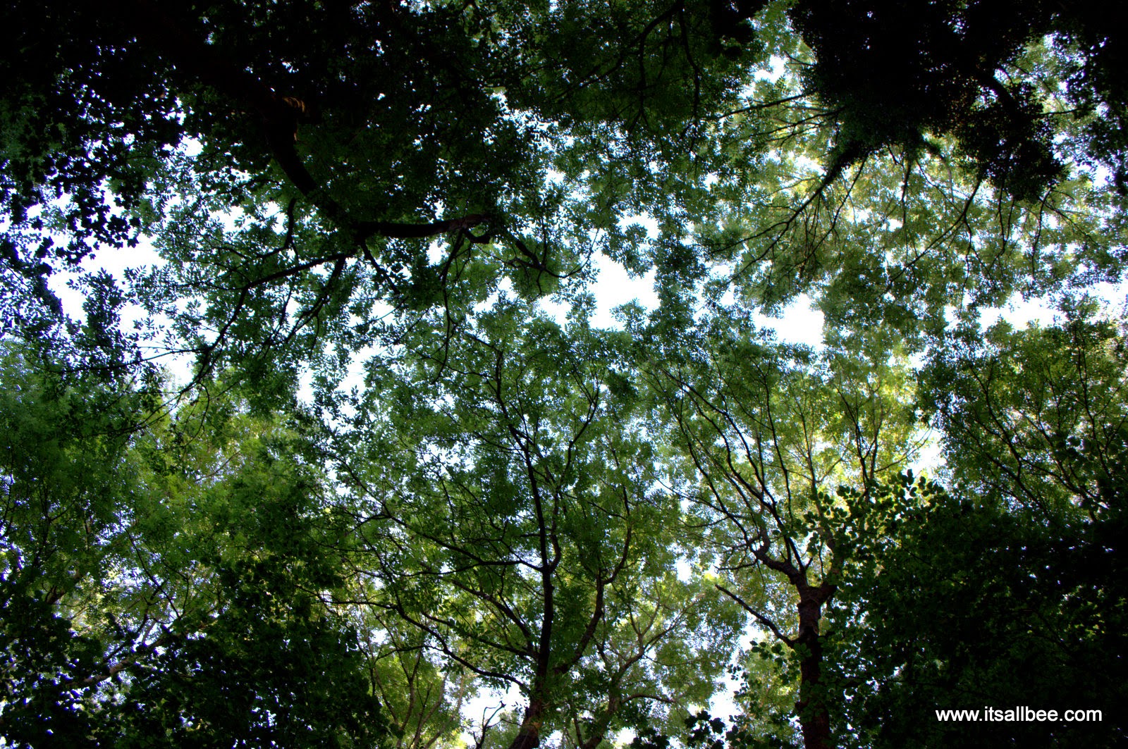 British Countryside Escapes and Hideaways - Camping - Rock East