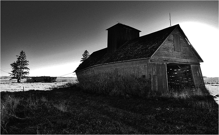 Emerging Photographers, Best Photo of the Day in Emphoka by Bill Emerging Photographers, Best Photo of the Day in Emphoka by Bill