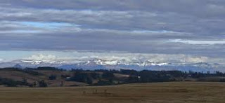 Bleak Prospects at Durban