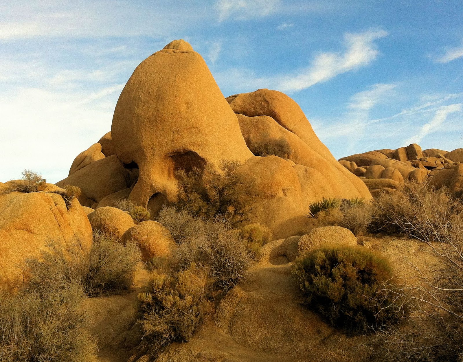 All This Is That At Skull Rock in Joshua Tree National Park
