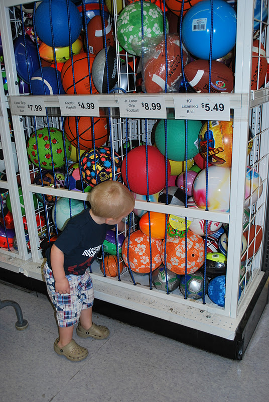 The Journey of Three Bros and a Babe Toys R Us, PLEEEEASE!