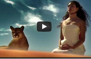 Lirik Lagu Edward Maya - Love Story + Video Clips