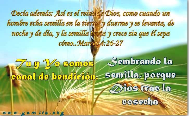 Textos Biblicos De Bendicion Textos Biblicos De Bendicion
