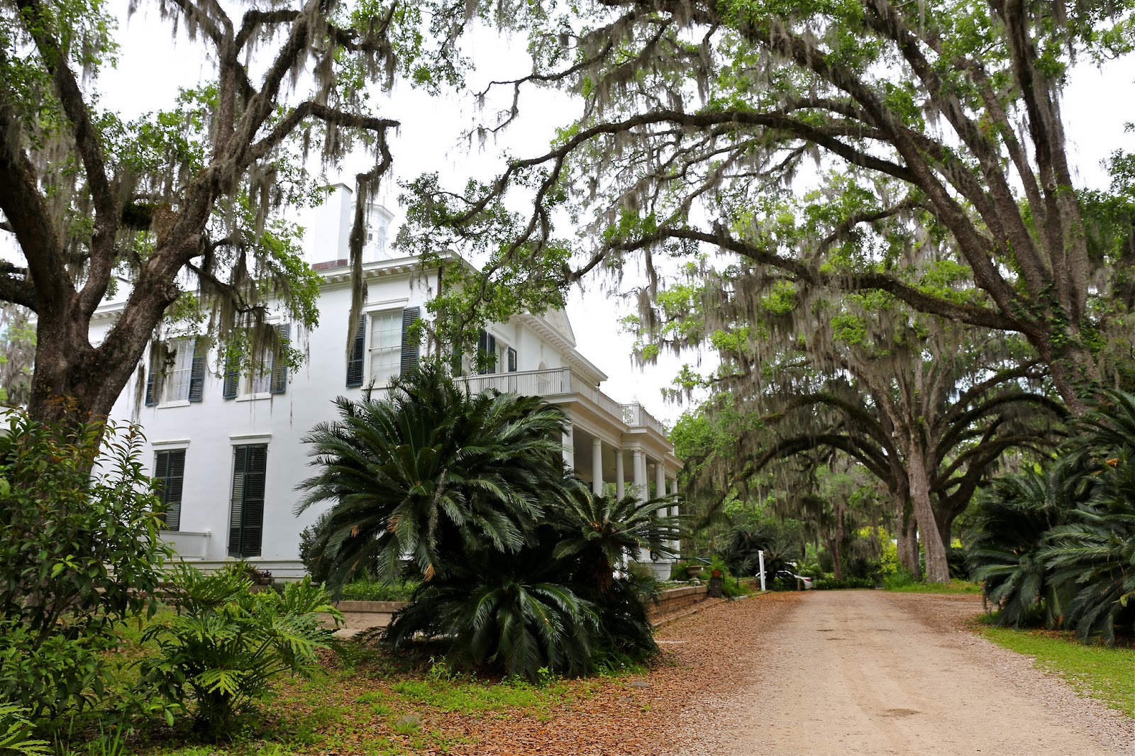 Sweet Southern Days Goodwood Museum & Gardens