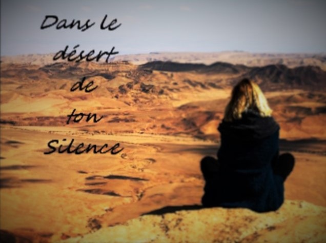 Poeme Amour Poesie Et Citations Dans Le Desert De Ton Silence Tristesse