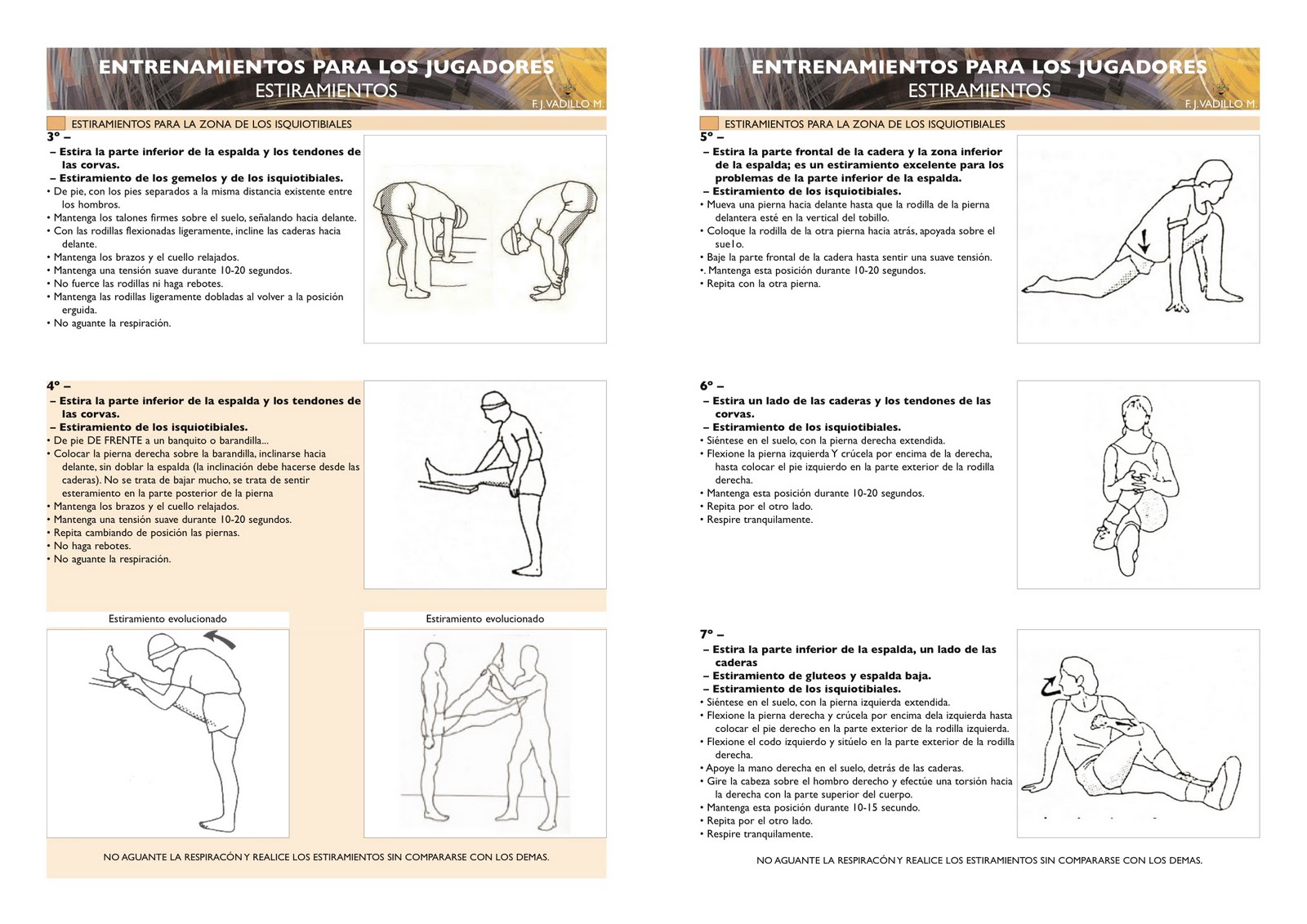ISQUIOTIBIALES isquiotibiales: