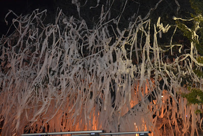 Auburn Tradition Acorn