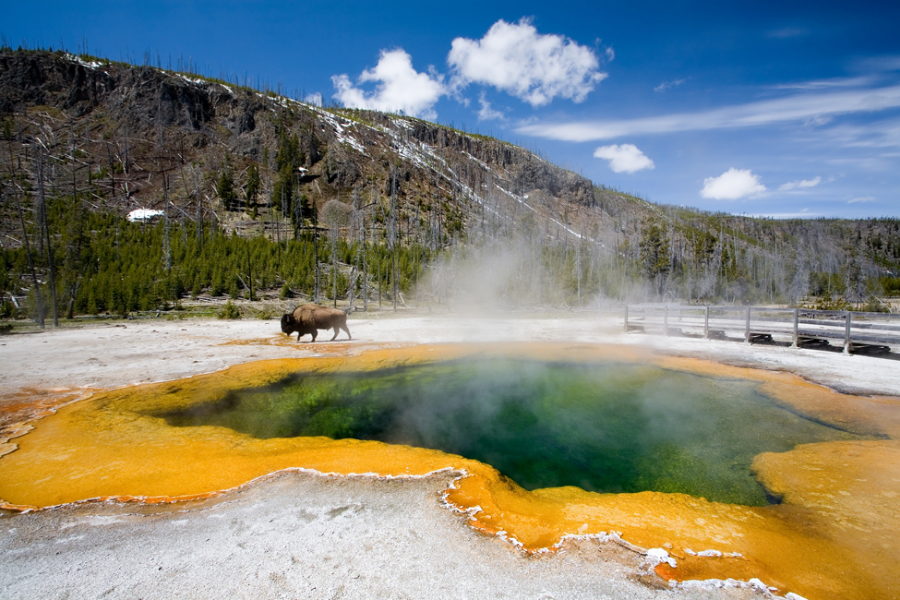 Yellowstone National Park Natural Creations