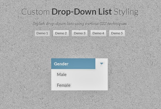 Custom Drop Down List Styling Custom Drop Down List Styling