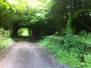 Looking north through Old Burghclere station